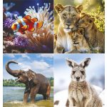 Naptár, fali, TOPTIMER "Vadállatok"