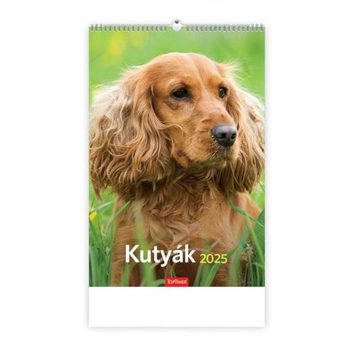 Naptár, fali, TOPTIMER "Kutyák"