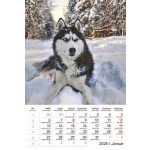 Naptár, fali, TOPTIMER "Kutyák"