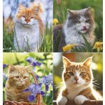 Naptár, fali, TOPTIMER, "Cicák"