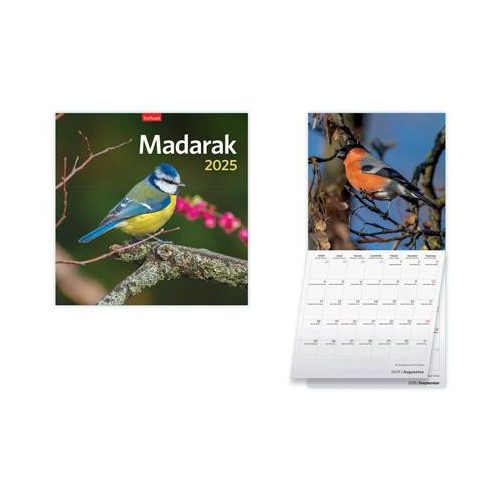 Naptár, fali, TOPTIMER "Madarak"