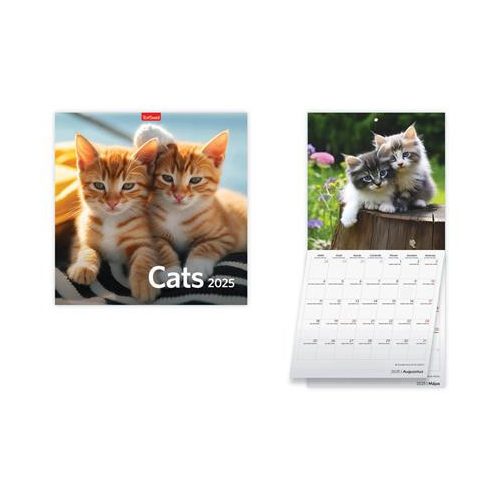 Naptár, fali, TOPTIMER, "Cats"
