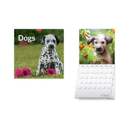 Naptár, fali, TOPTIMER, "Dogs"