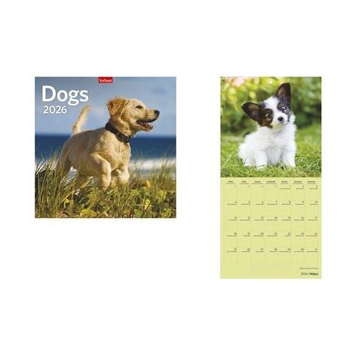 Naptár, fali, TOPTIMER, "Dogs"