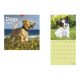 Naptár, fali, TOPTIMER, "Dogs"