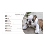 Naptár, asztali, álló, TOPTIMER, "Kutyák"