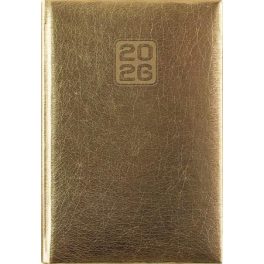   Naptár, tervező, A5, napi, DAYLINER, "Mirror", arany