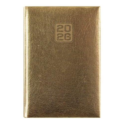 Naptár, tervező, A5, napi, DAYLINER, "Mirror", arany