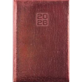   Naptár, tervező, A5, napi, DAYLINER, "Mirror", bronz
