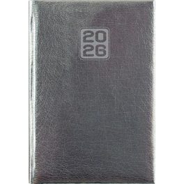   Naptár, tervező, A5, napi, DAYLINER, "Mirror", ezüst