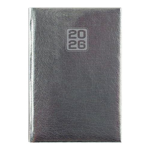 Naptár, tervező, A5, napi, DAYLINER, "Mirror", ezüst