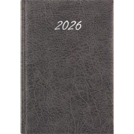   Naptár, tervező, A5, napi, DAYLINER, "Rebel", szürke