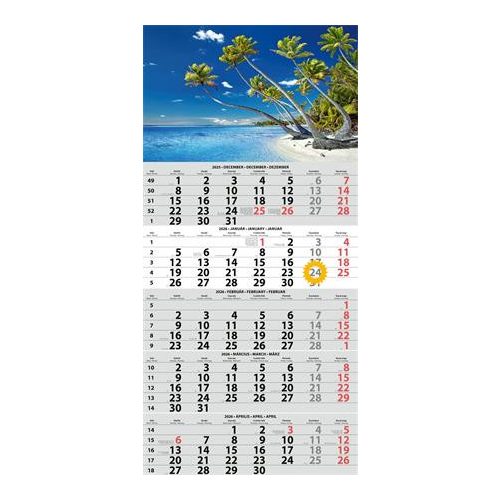 Naptár, speditőr, öt hónapos, egy tömbös, DAYLINER