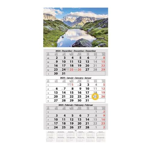 Naptár, speditőr, három hónapos, egy tömbös, DAYLINER