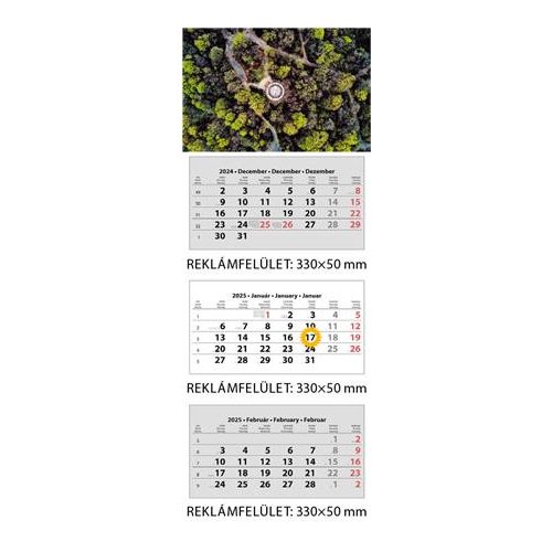 Naptár, speditőr, három hónapos, három tömbös, DAYLINER