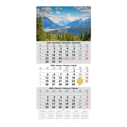 Naptár, speditőr, három hónapos, három tömbös, DAYLINER