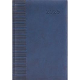   Naptár, tervező, A5, napi, DAYLINER, "Tucson", kék