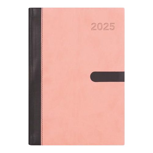 Naptár, tervező, A5, napi, DAYLINER, "Winner", pink