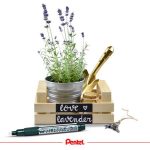 Krétamarker, 2-4 mm, megfordítható hegy, PENTEL "SMW26", fehér