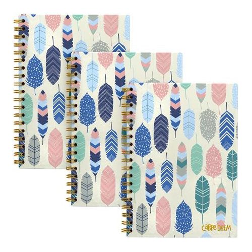 Spirálfüzet, B5, vonalas, 80 lap, FSC, PUKKA PAD "Carpe Diem", toll minta