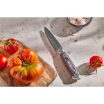 Hámozókés, 10 cm, RESTO "Ogma 95344"