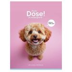 Füzet, tűzött, A5, vonalas, 48 lap, SHKOLYARYK "Nice to meet you", vegyes