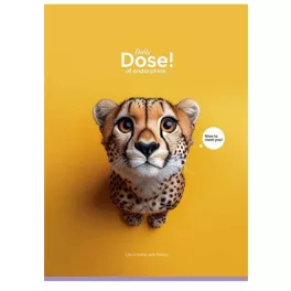   Füzet, tűzött, A4, vonalas, 80 lap, SHKOLYARYK "Daily Dose", vegyes