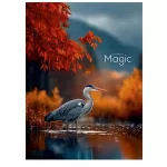 Füzet, tűzött, A4, kockás, 80 lap, SHKOLYARYK "Colorful Magic", vegyes