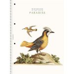 Spirálfüzet, A4, vonalas, 80 lap, SHOLYARYK "College Block Wonders", vegyes