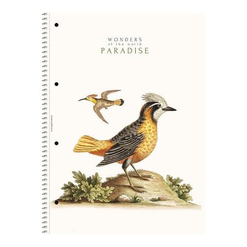 Spirálfüzet, A4, vonalas, 80 lap, SHOLYARYK "College Block Wonders", vegyes