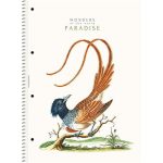 Spirálfüzet, A4, vonalas, 80 lap, SHOLYARYK "College Block Wonders", vegyes