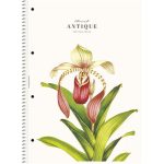 Spirálfüzet, A4, vonalas, 80 lap, SHOLYARYK "College Block Wonders", vegyes