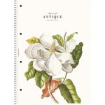 Spirálfüzet, A4, vonalas, 80 lap, SHOLYARYK "College Block Wonders", vegyes