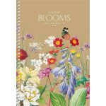 Spirálfüzet, A5, sima, 96 lap, SHKOLYARYK "Songs of Hope", vegyes