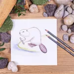 Színezett akvarell ceruza készlet, hatszögletű, STAEDTLER® "tinted 146 10T", 12 különböző szín
