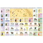 Könyökalátét, kétoldalas, STIEFEL "Magyarország néprajzi térkép"