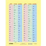 Tanulói munkalap, A4, STIEFEL "Irregular Verbs"