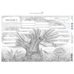 Tanulói munkalap, A4, STIEFEL "Névszók I."