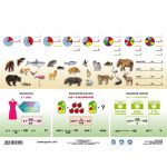 Tanulói munkalap, A4,  STIEFEL "Százalékszámítás duo"