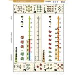 Tanulói munkalap, A4, STIEFEL"Ismerkedés a számegyenessel"