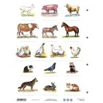 Tanulói munkalap, A4, STIEFEL" A ház körül élő állatok"