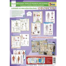   Tanulói munkalap csomag, 5 munkalap, 1 alátét, filc, STIEFEL "Biológia"