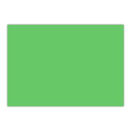   Dekor karton 1 oldalas 48x68cm, 350g. 25ív/csomag, Bluering® világoszöld