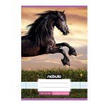 Füzet, A5, 1. osztályos vonalas, 14-32, Cuki minták, 16 db/csomag Nebulo