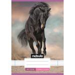 Füzet, A5, 3. osztályos vonalas, 12-32, Cuki minták, 16 db/csomag Nebulo