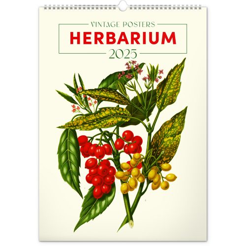 Falinaptár képes  330×460mm Vintage Posters-Herbarium Realsystem 2025.