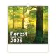 Falinaptár képes 300 x 300 mm, fehér lapokkal Forest Dayliner 2026.