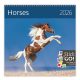 Falinaptár képes 300 x 300 mm, fehér lapokkal Horses Dayliner 2026.