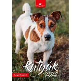   Falinaptár képes 230 x 330 mm, fehér lapokkal Kutyák Dayliner 2026.