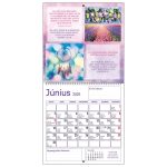 Falinaptár képes 300 x 300 mm, fehér lapokkal Motivációs Dayliner 2026.